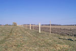 Fences Pictures Gallery